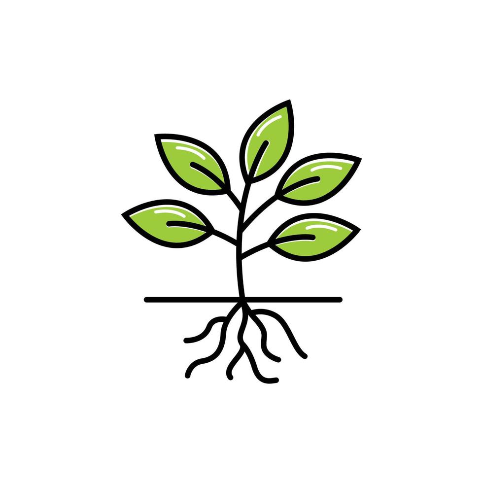 plantilla de diseño de icono de raíz de planta vector