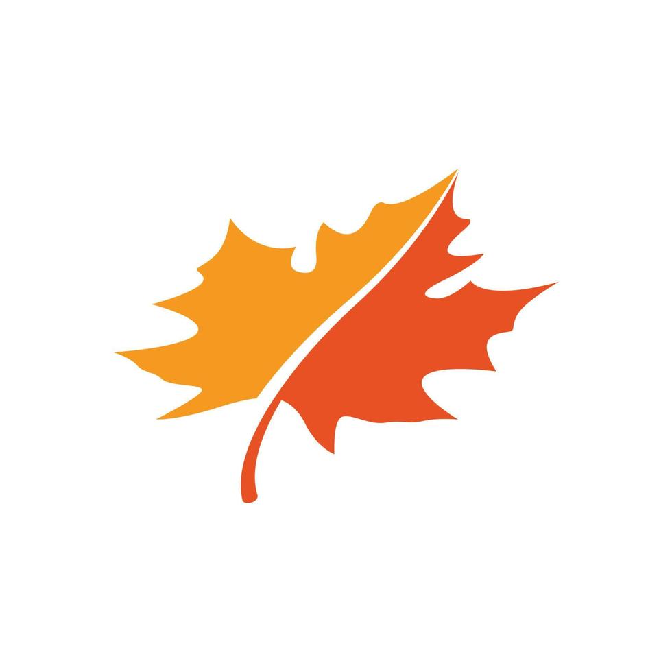 maple leaf logo icon desig template vector