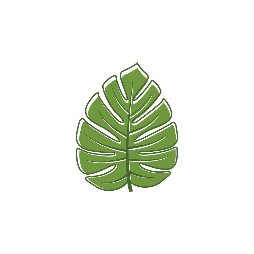 monstera leaf logo icon design template vector