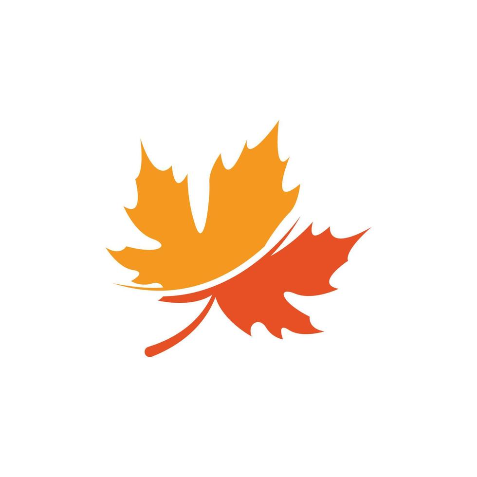 maple leaf logo icon desig template vector