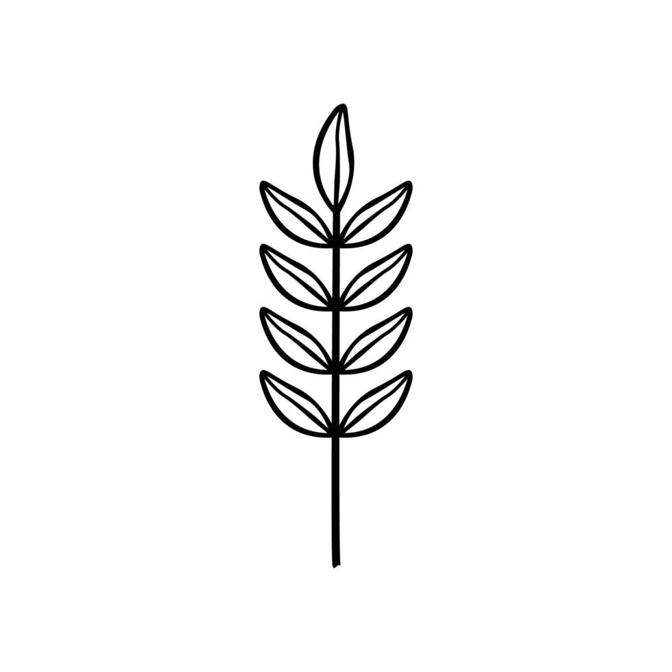 vector de plantilla de diseño gráfico de rama de hoja