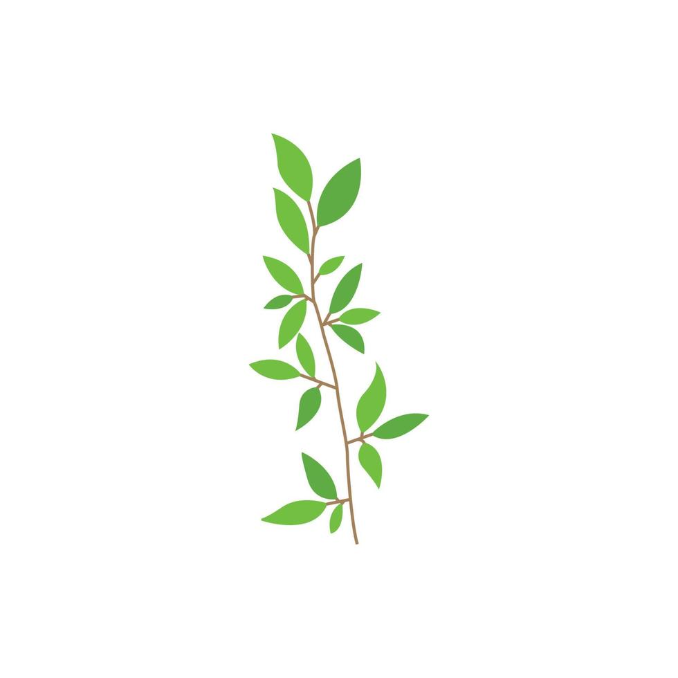 leaf branch graphic design template vector