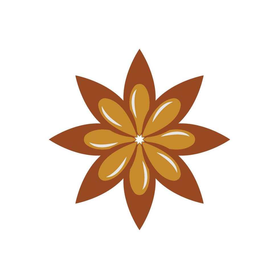 star anise icon design template vector