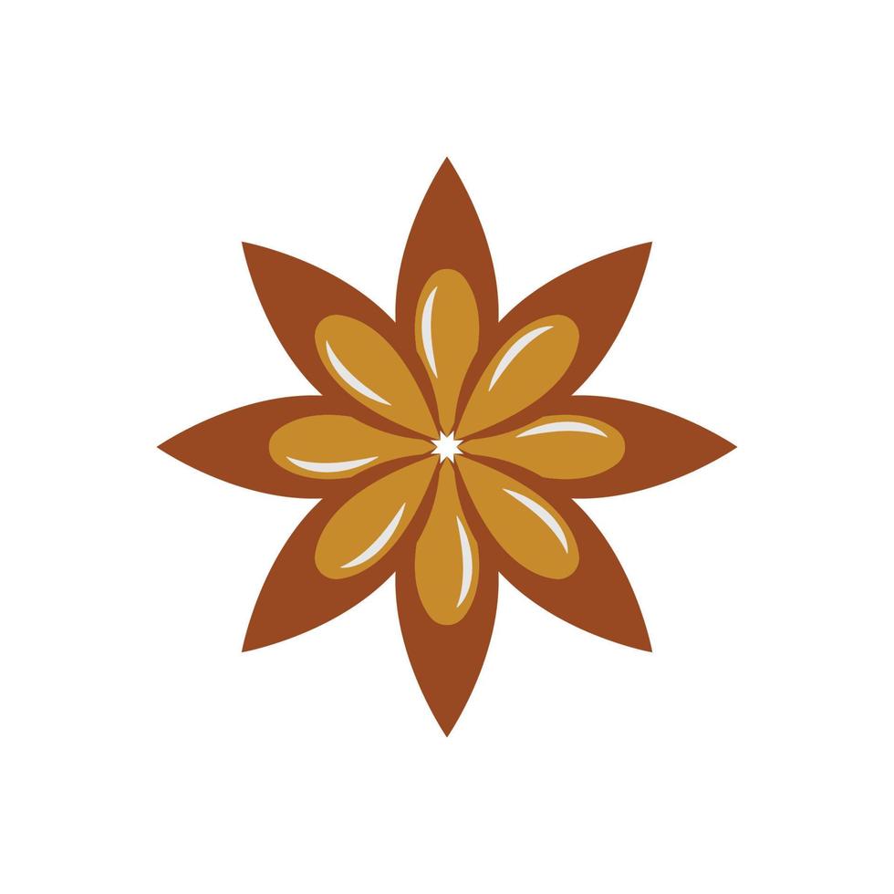 star anise icon design template vector