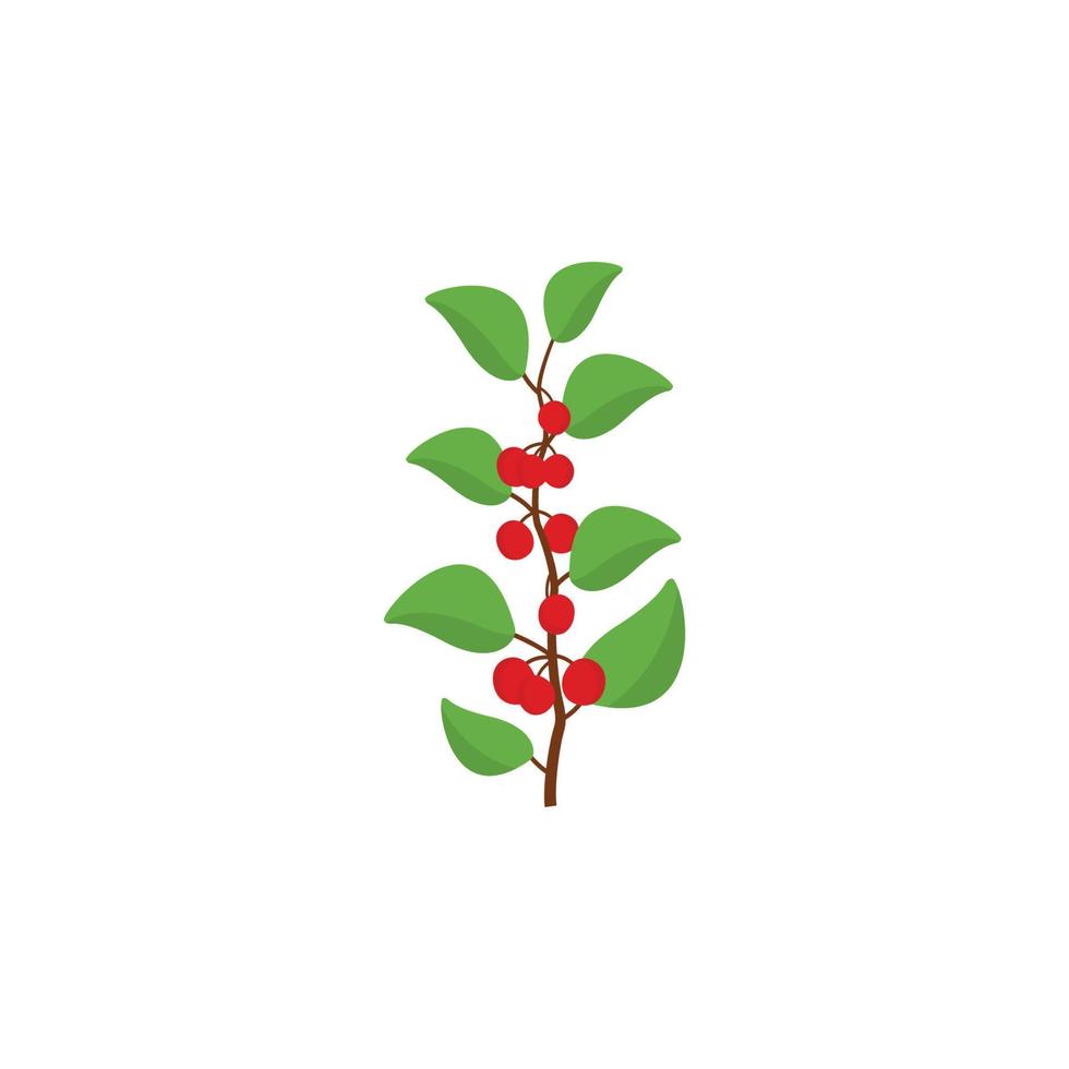 vector de plantilla de diseño gráfico de rama de hoja