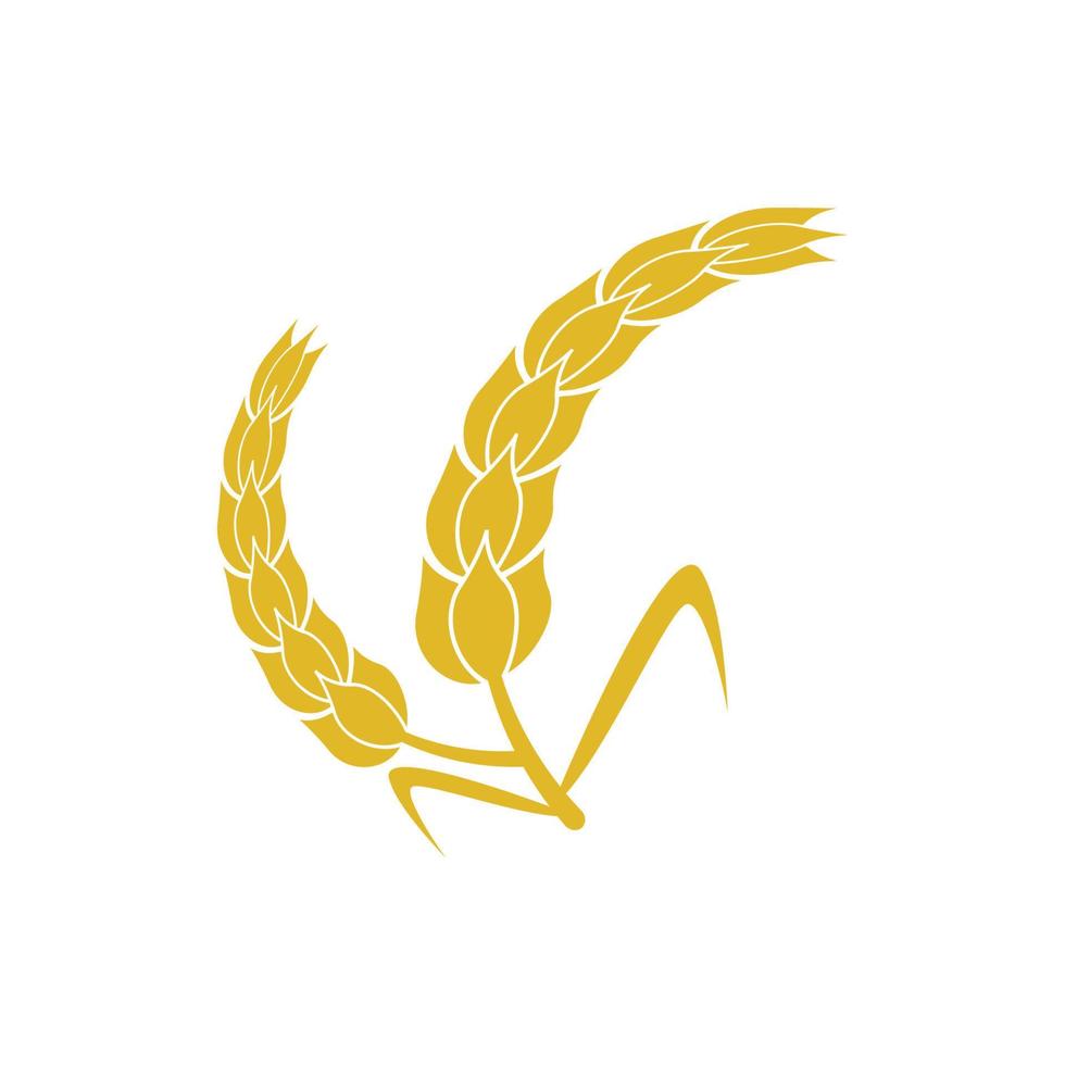 Wheat and rice icon logo designs vector