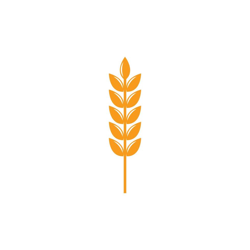 Wheat and rice icon logo design template vector