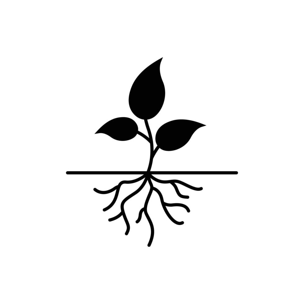 plantilla de diseño de icono de raíz de planta vector