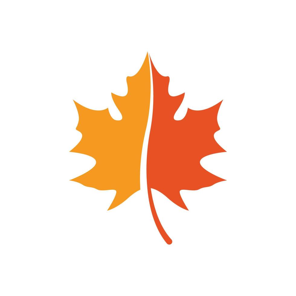 maple leaf logo icon desig template vector