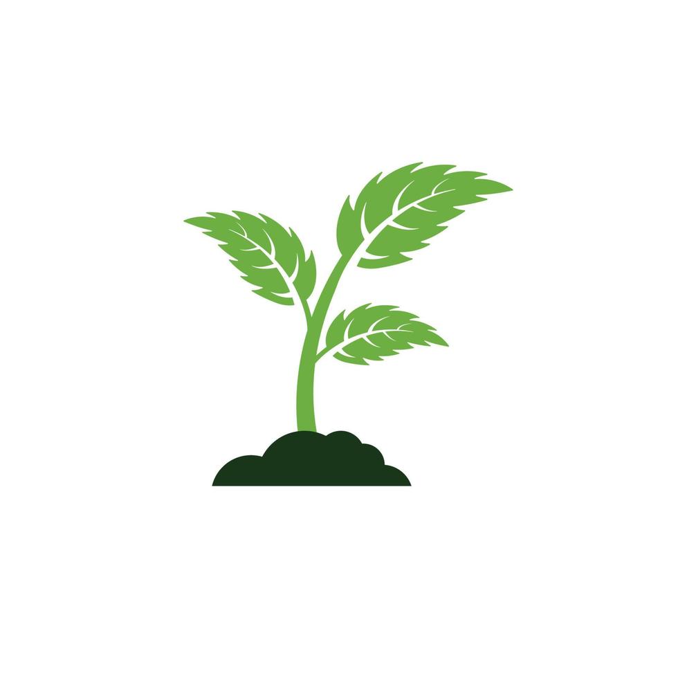 vector de plantilla de diseño de icono de logotipo de hoja