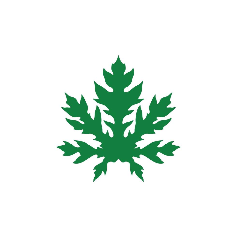 papaya leaf graphic design template vector