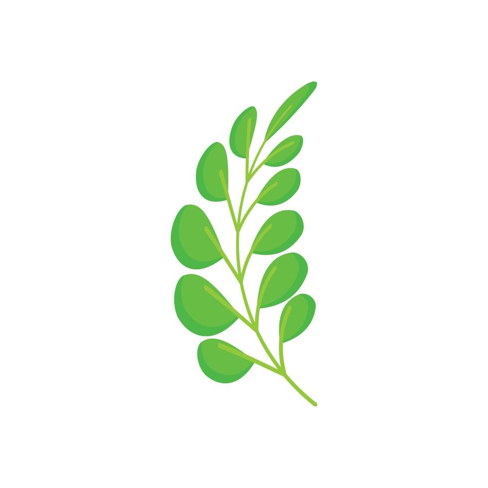 tropical Leaves graphic design vector