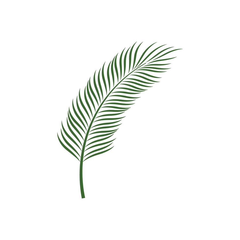 palm leaf logo icon design template vector