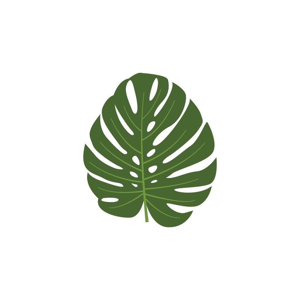 vector de plantilla de diseño de icono de logotipo de hoja de monstera