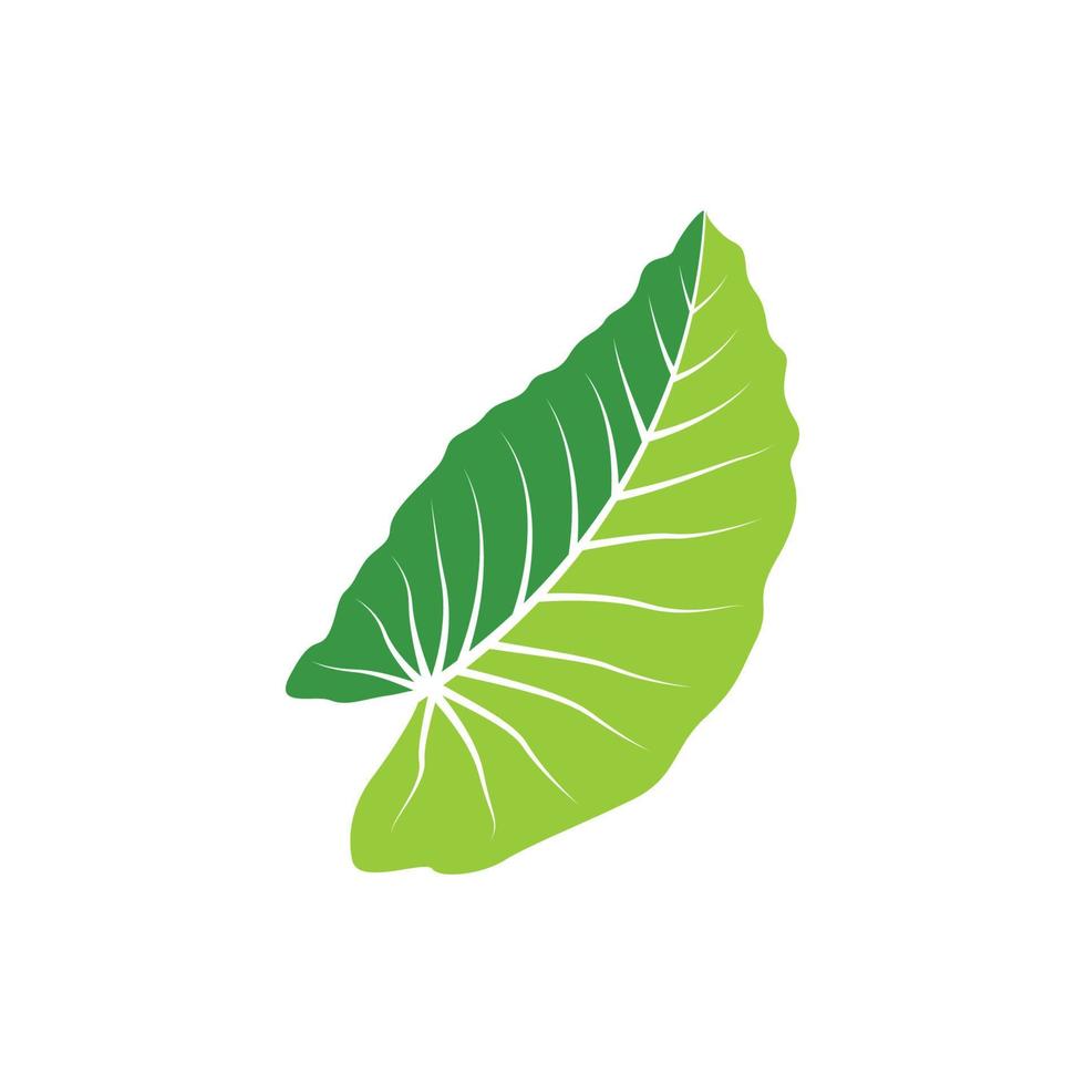 vector de plantilla de diseño gráfico de hoja verde