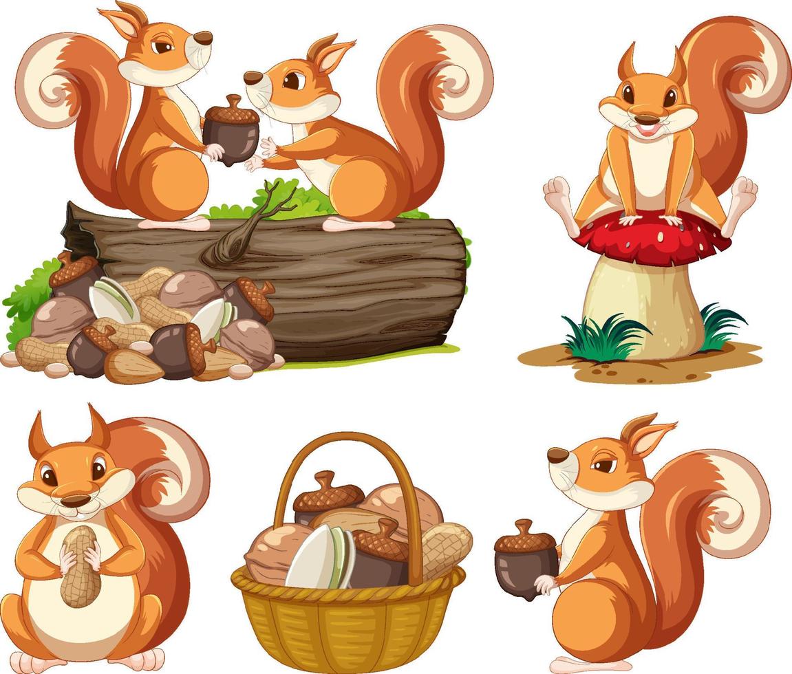 Squirrels in different action vector