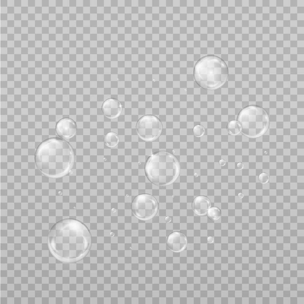 Transparent water bubble vector