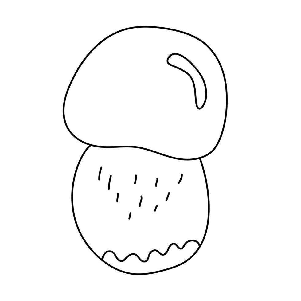 Little porcini mushroom in doodle style. Isolated outline. vector