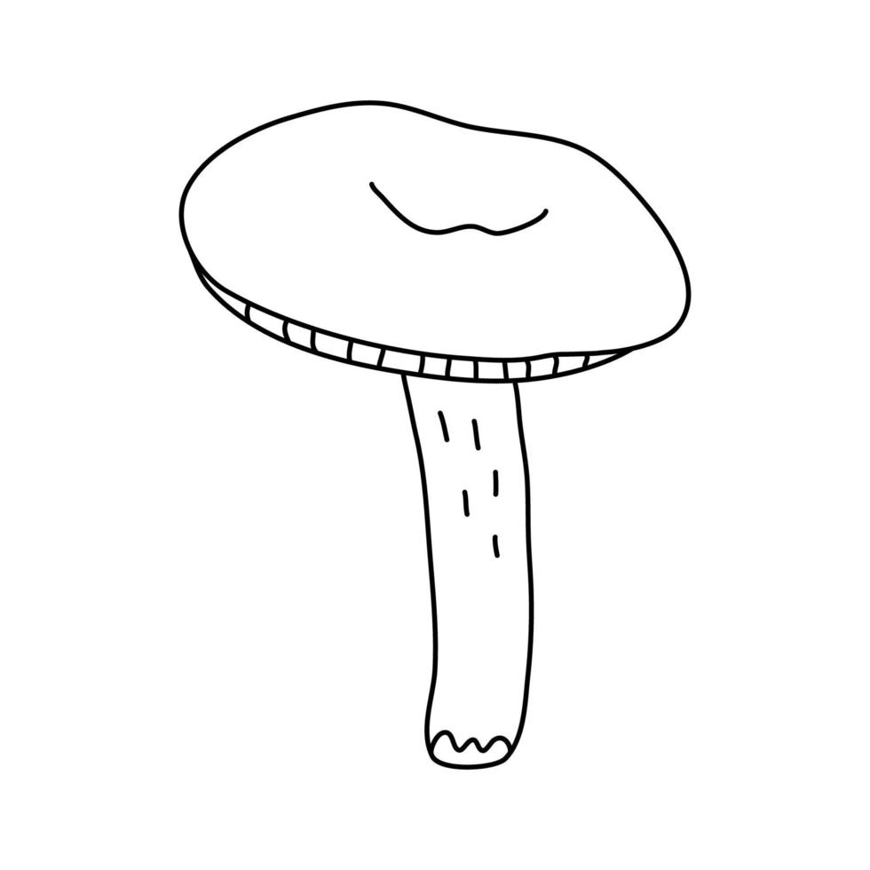 Forest edible mushroom in doodle style. Isolated outline. vector