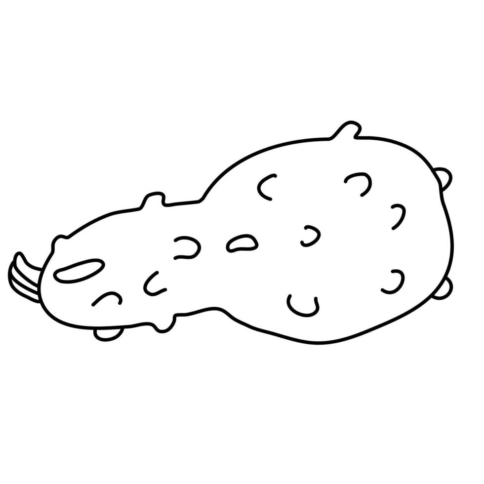 Warty or pimpled gourd in doodle style. Pear shaped pumpkin vector
