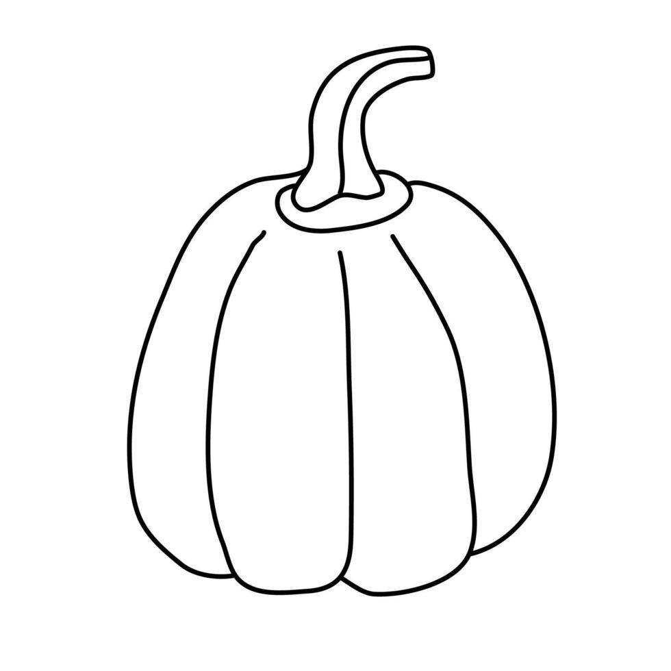 Pumpkin in doodle style. Isolated outline. Hand drawn vector illustration in black ink on white background. Great for coloring books. Farming garden theme.