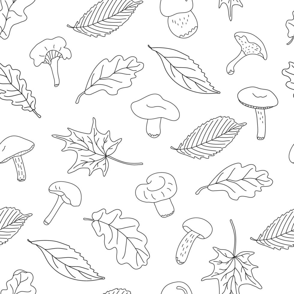Autumn vector seamless pattern with forest edible mushrooms and leaves on white background. Great for fabrics, wrapping papers, wallpapers, covers. Doodle sketch style illustration in black ink.