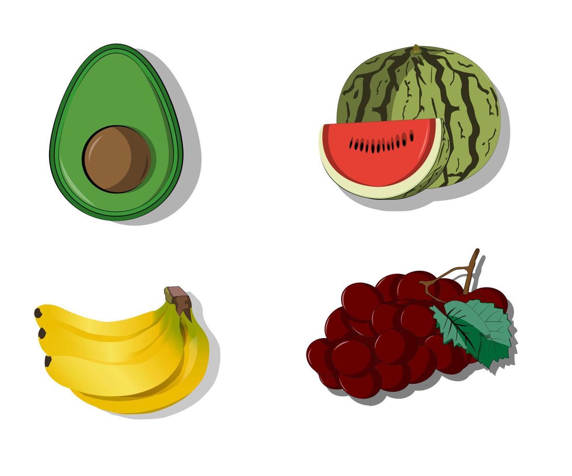 icono vector fruta familia ilustración