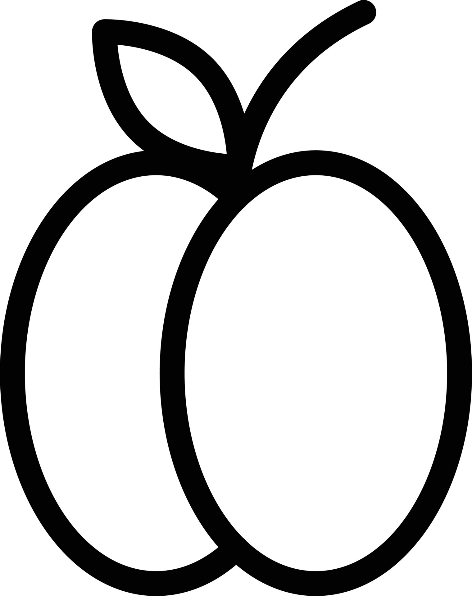 apricot vector illustration on a background.Premium quality symbols