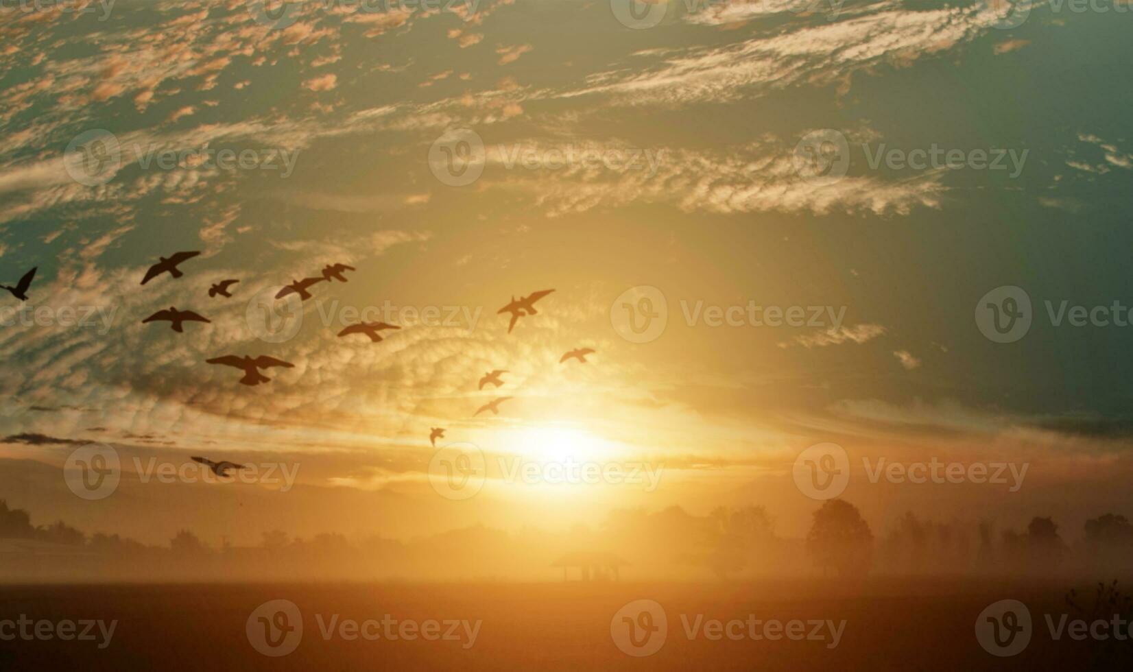 Countryside landscape under scenic colorful sky with flock of birds at sunset background. photo