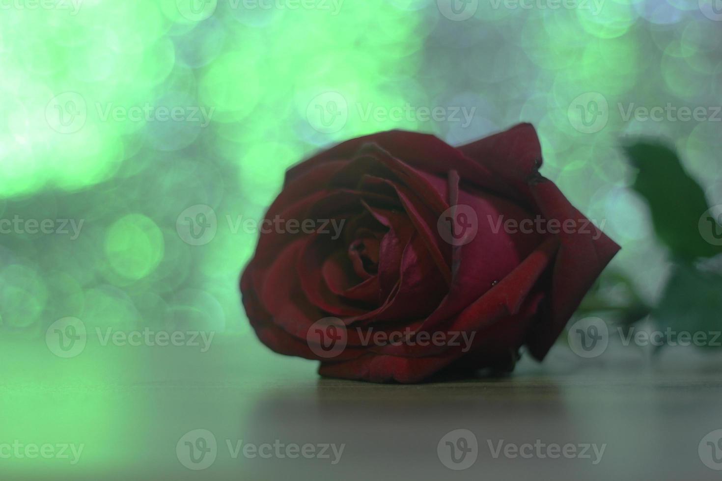 Rose flower for Valentine day background, Red rose with twig and leaves on a wooden table and with a bokeh background photo