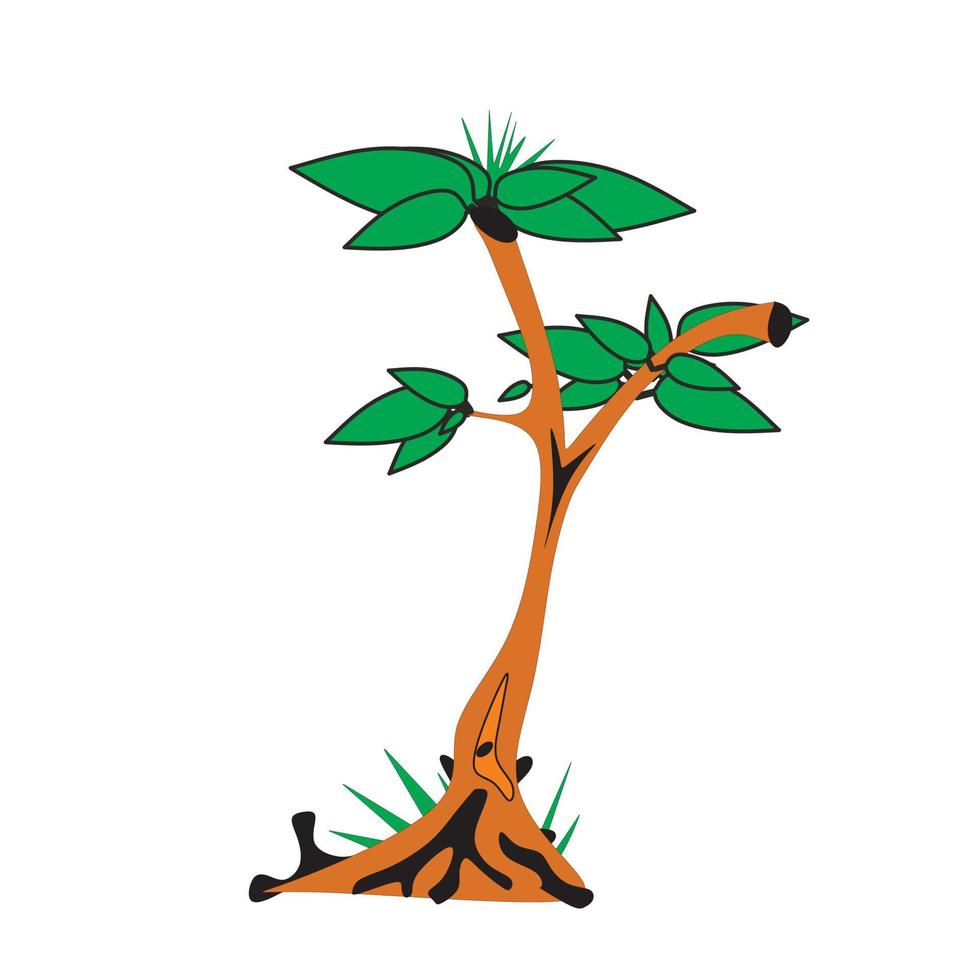 trees and leaves on the stalks illustration vector