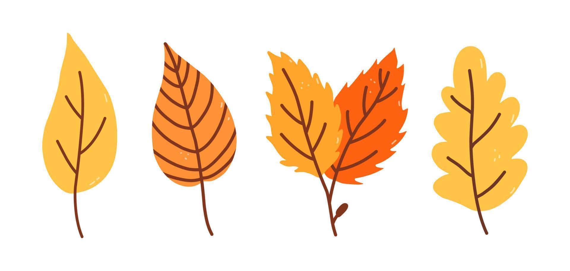 Set of yellow and orange autumn leaves isolated on white background. Vector hand-drawn illustration in cartoon flat style. Perfect for your project, cards, invitations, print, decorations.