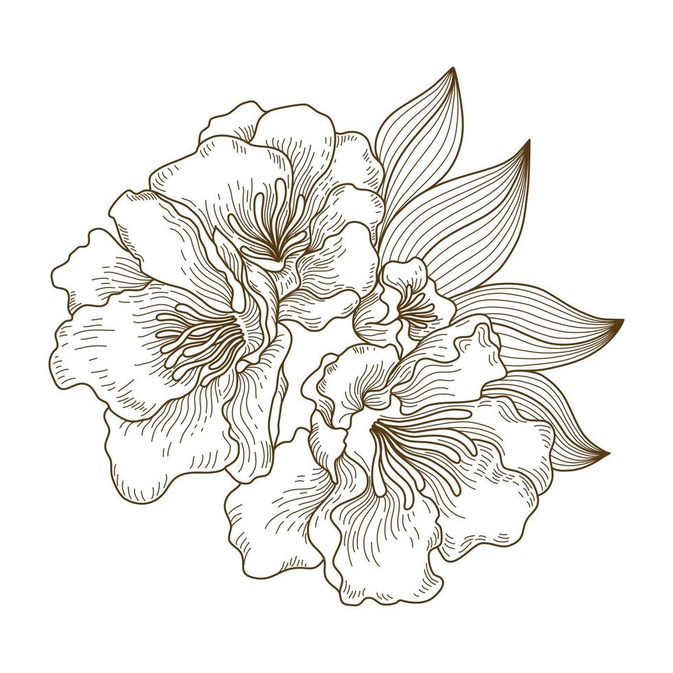 Vector floral line art illustration designed in brown tone doodle style on white background for decorating cards, wedding cards, scrapbooks, covers, clothing patterns and more