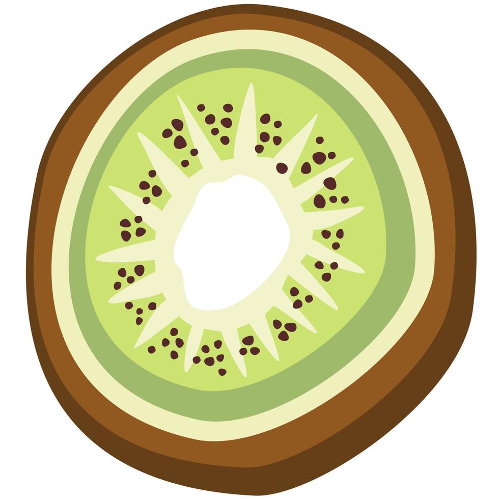 Vector isolated illustrtion of kiwifruit.