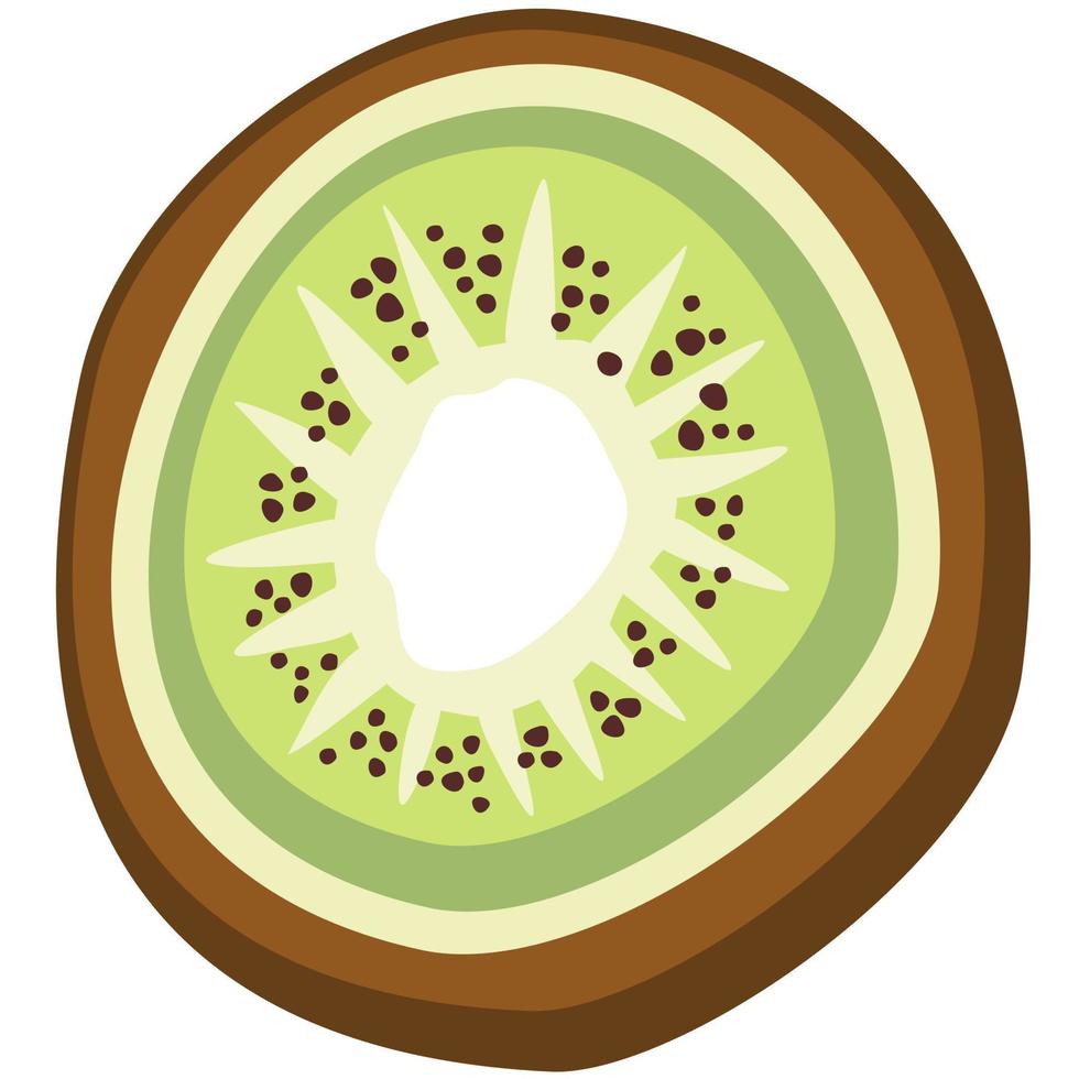 ilustración vectorial aislada de kiwi. vector