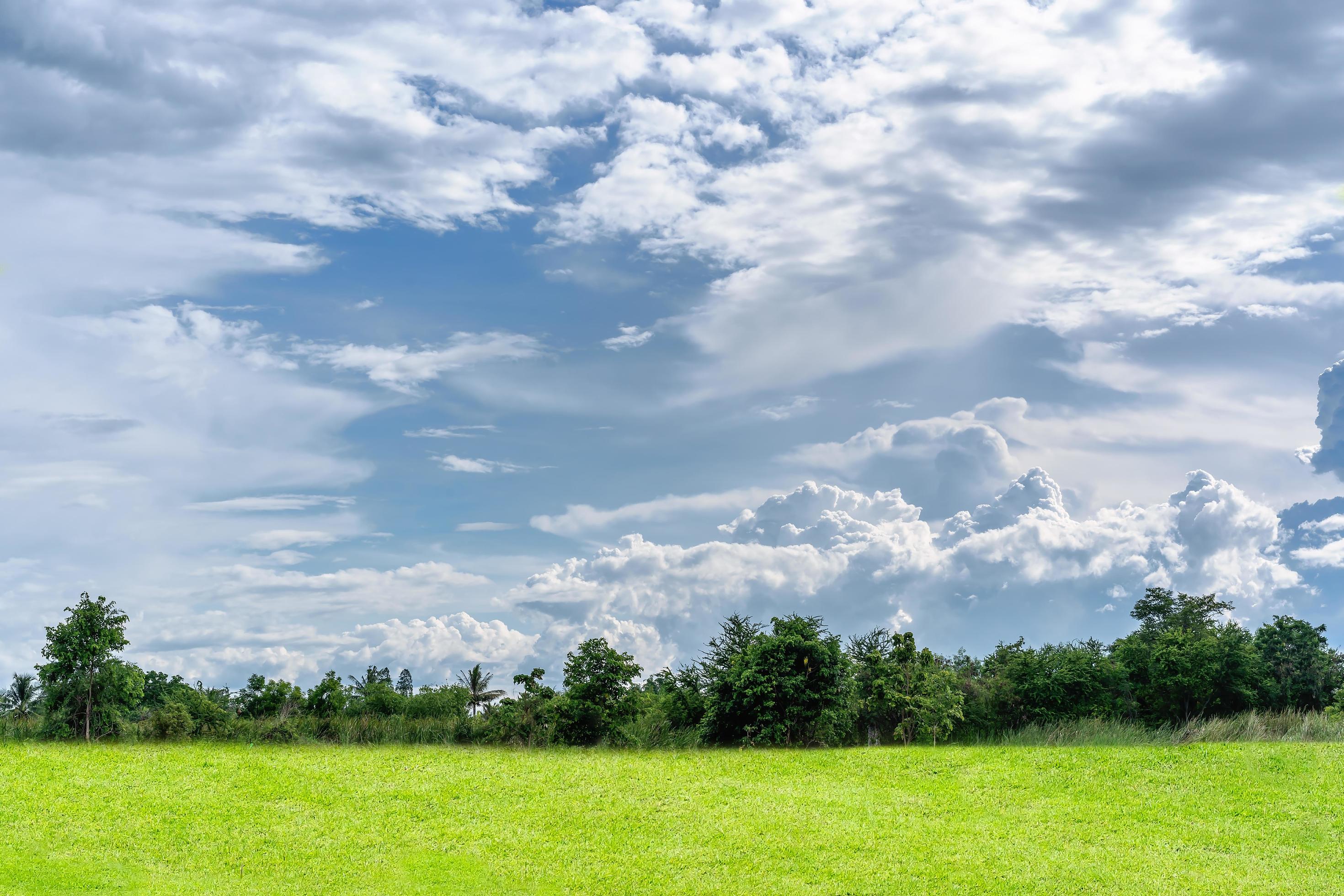 Green Landscape Blue Sky Stock Photos and Images - 123RF