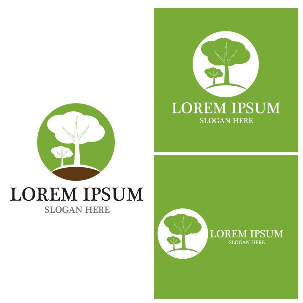 Tree icon and symbol vector template