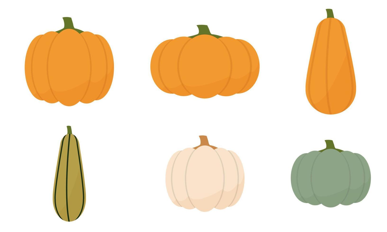 A set of pumpkins of different shapes and different colors. Cartoon. Vector illustration