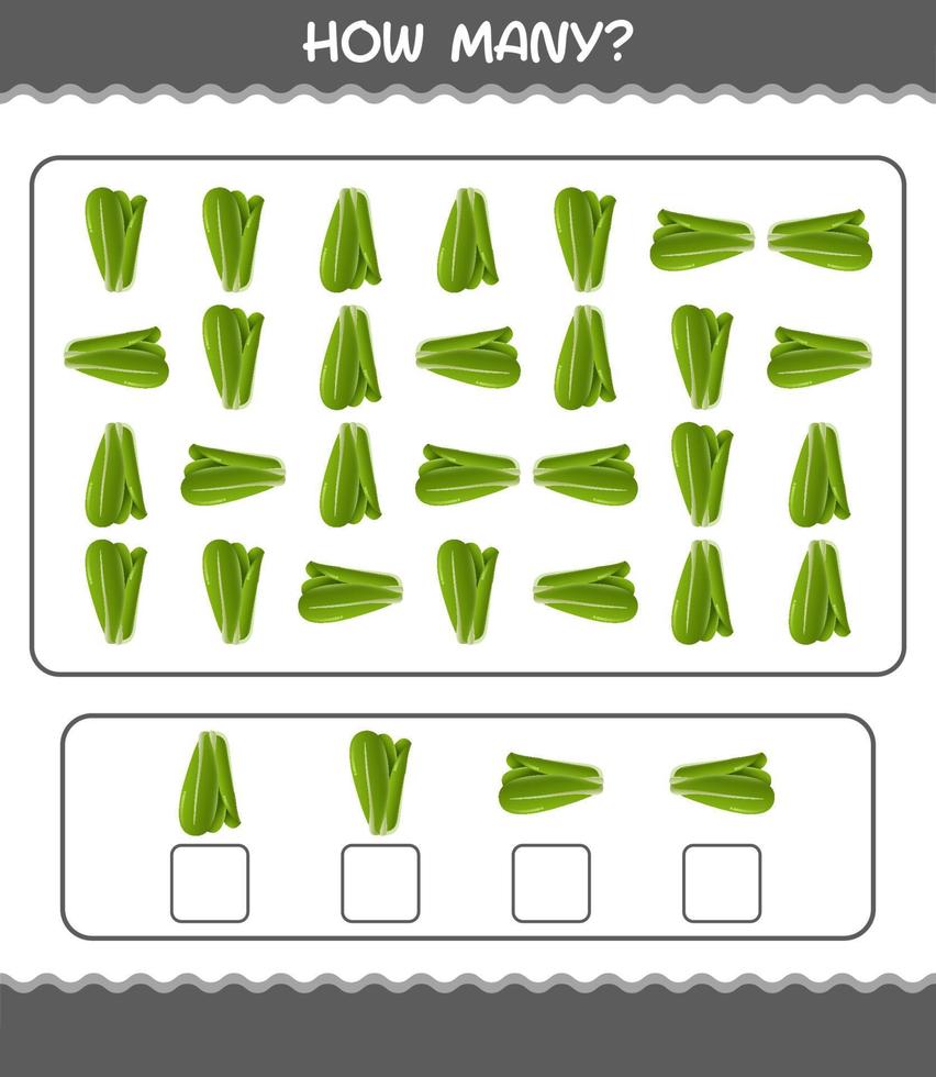 How many cartoon lettuce. Counting game. Educational game for pre shool years kids and toddlers vector