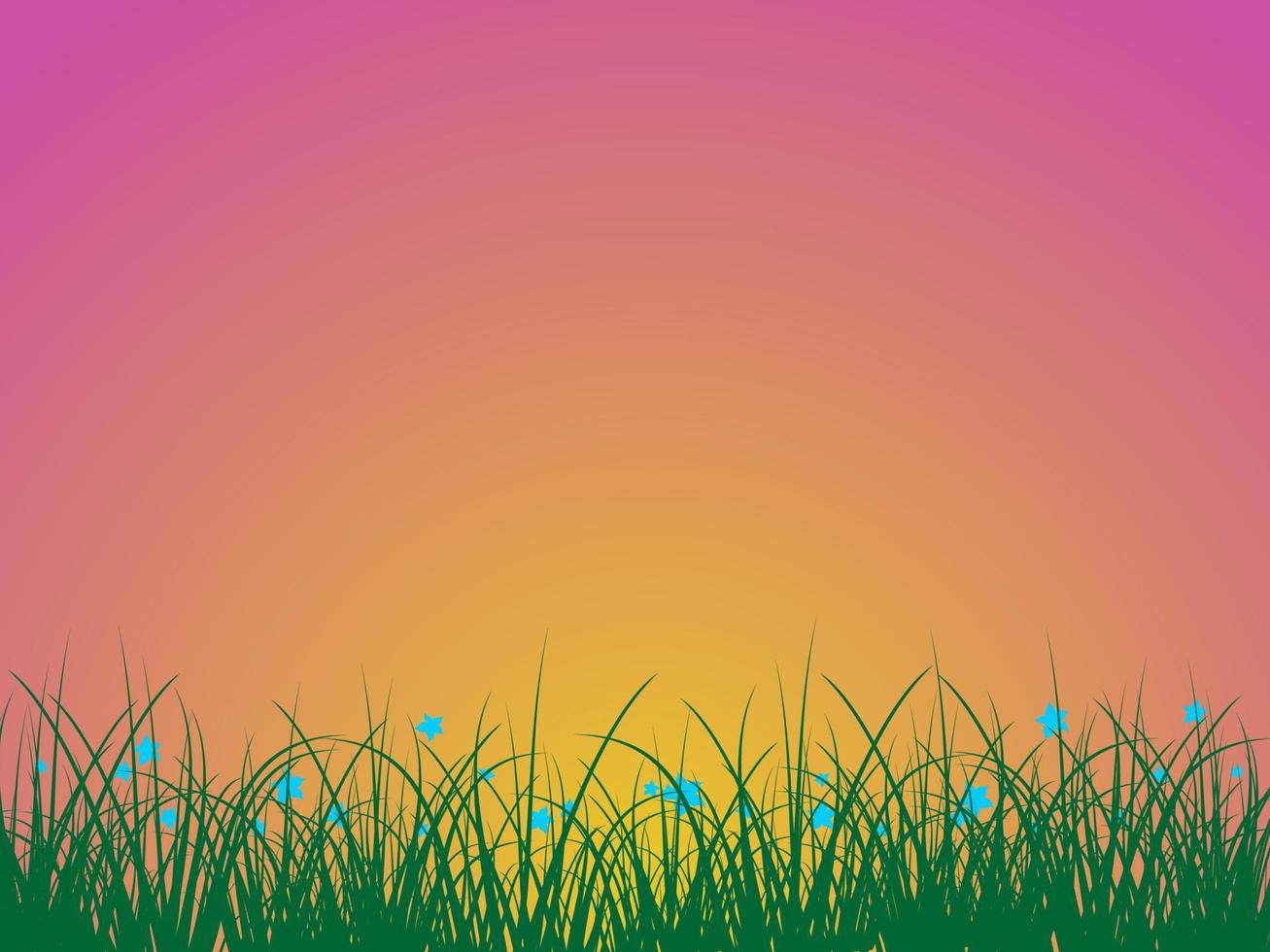 Grass with wildflowers against background of sunrise vector