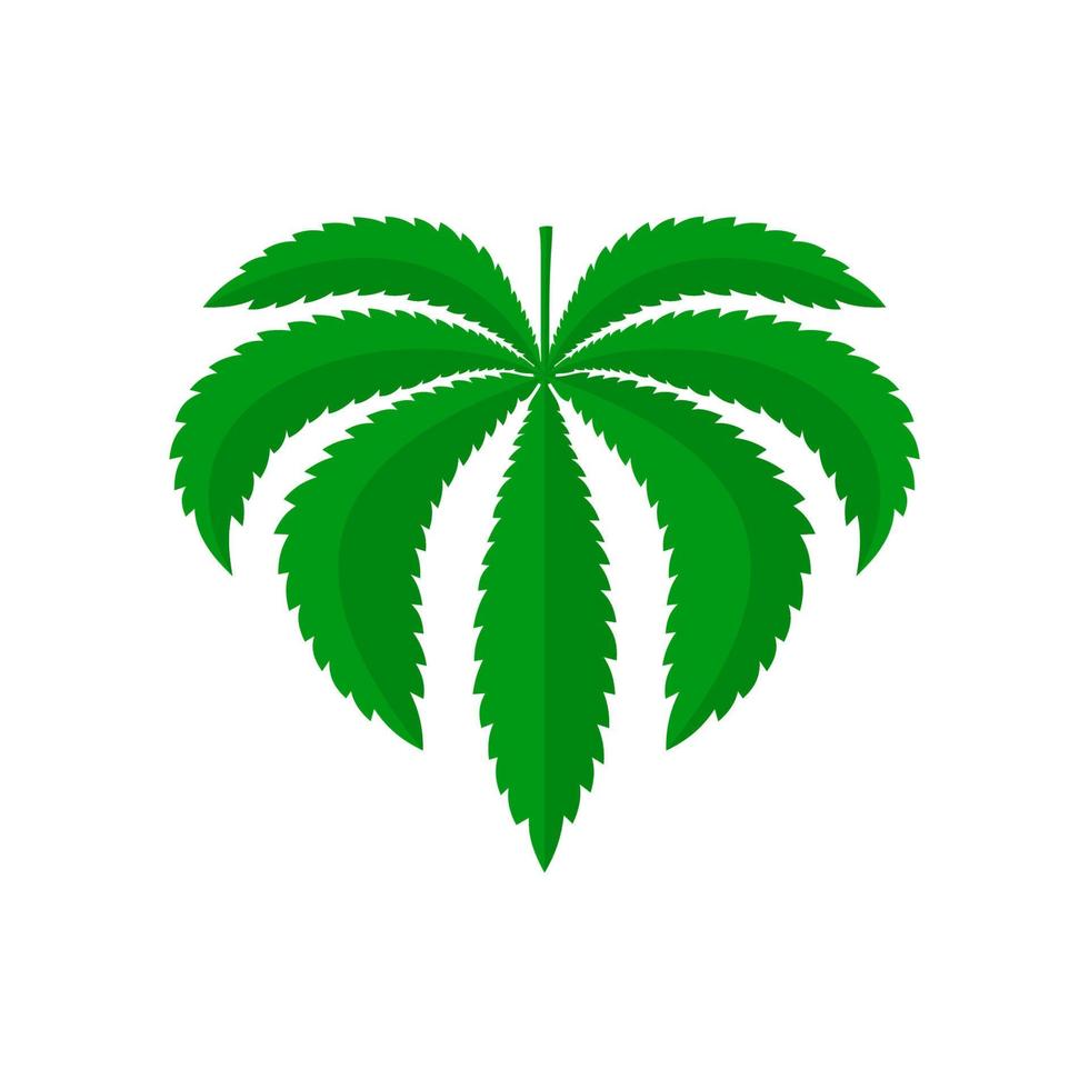 Green Leaf of Cannabis vector