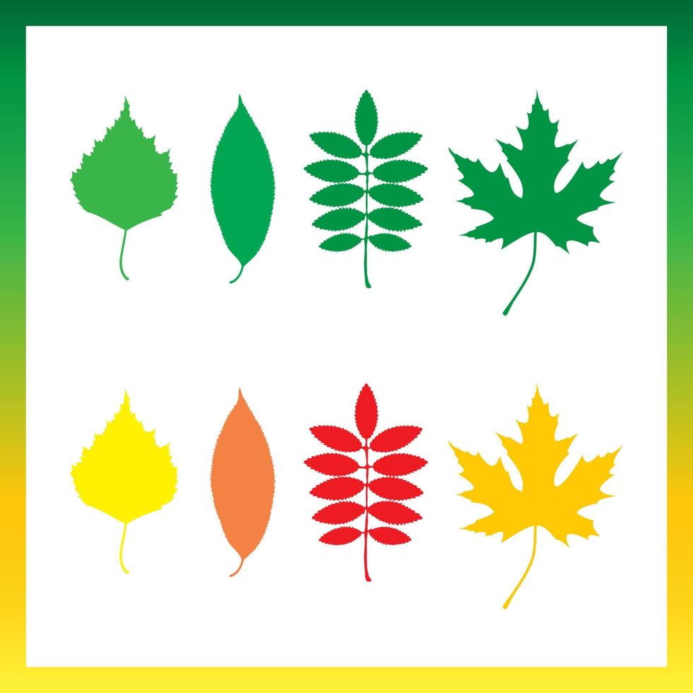 Leaves of trees  birch, ashberry, maple, cherry vector