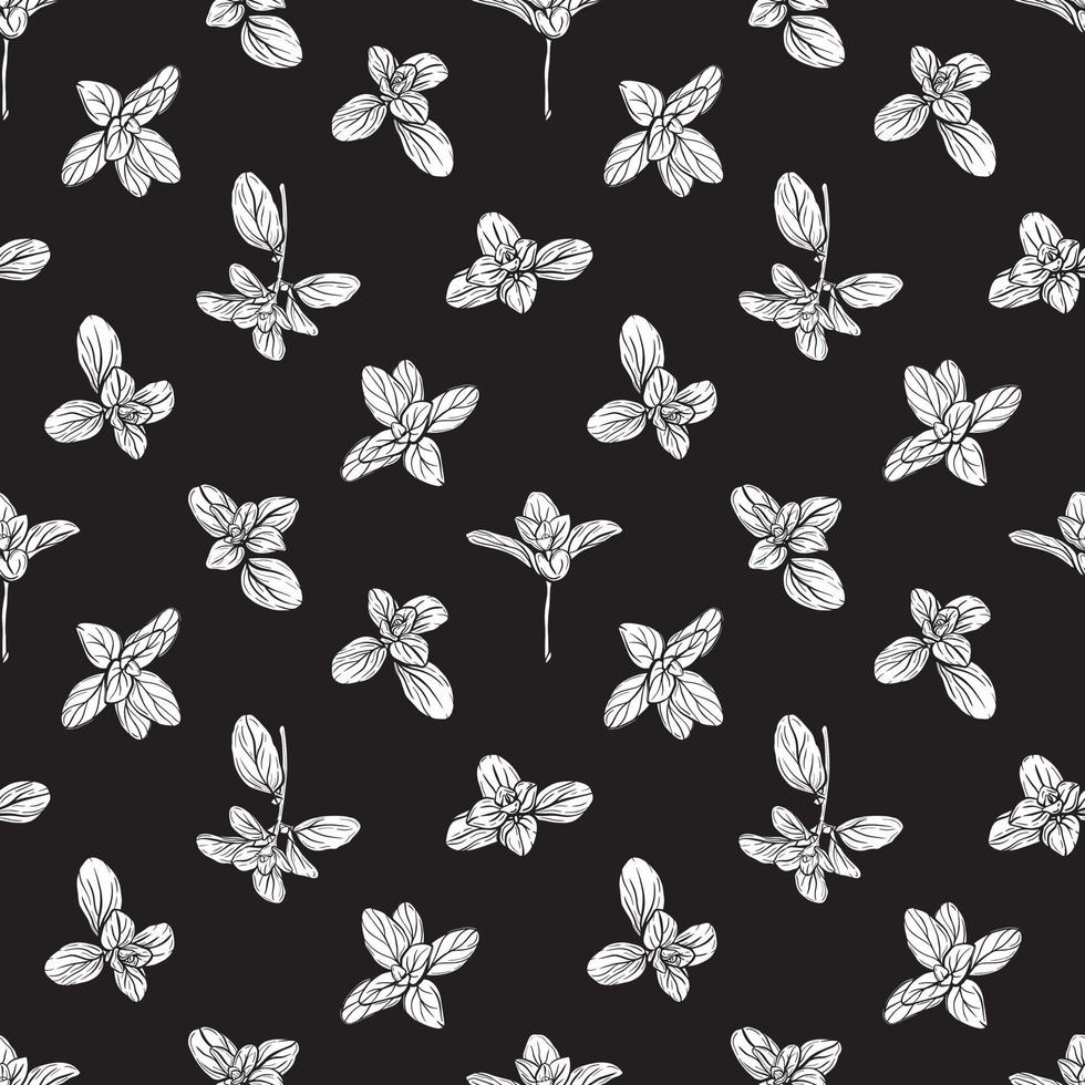 Basil Seamless Pattern.Marjoram pattern. vector