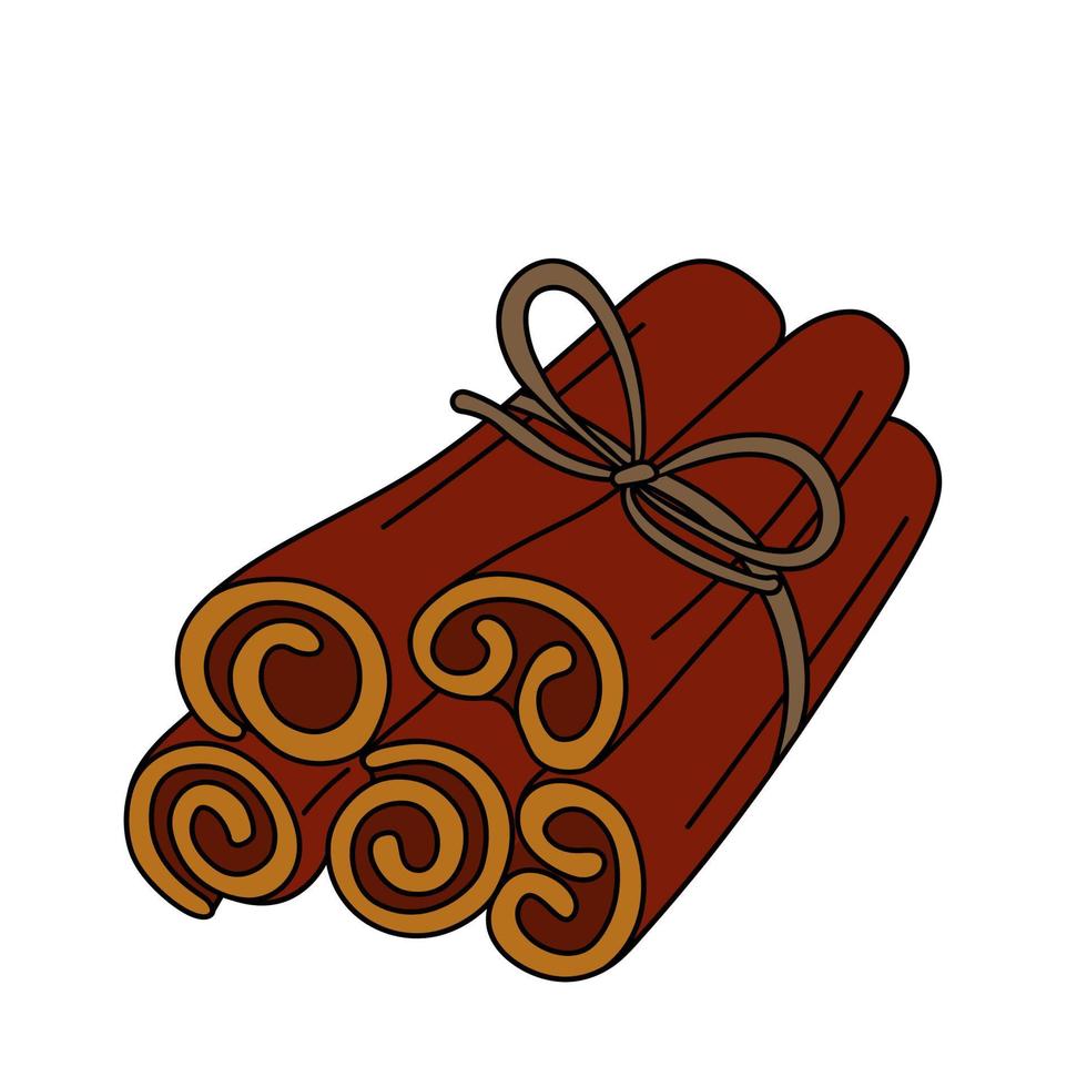 Hand drawn cinnamon sticks. vector