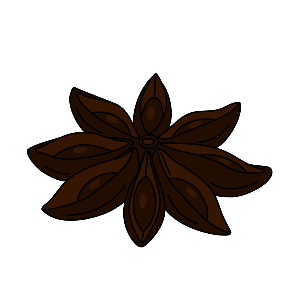 Hand drawn star anise close up. vector