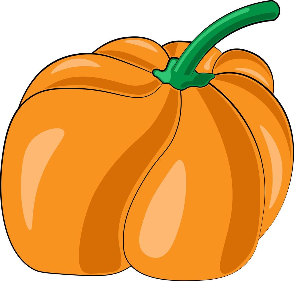 Single element pumpkin. Draw illustration in colors vector