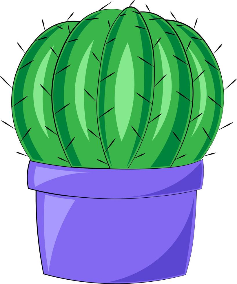 Single element Cactus. Draw illustration in colors vector