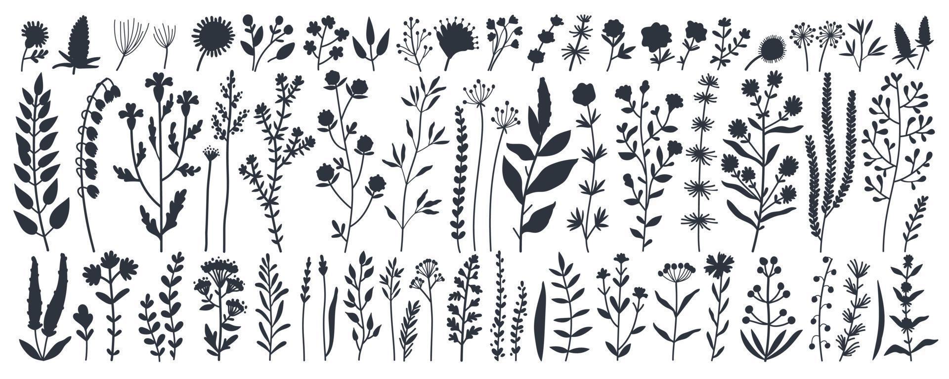 Collection of black silhouettes wild meadow herbs, flowering flowers and plants with edible berries vector
