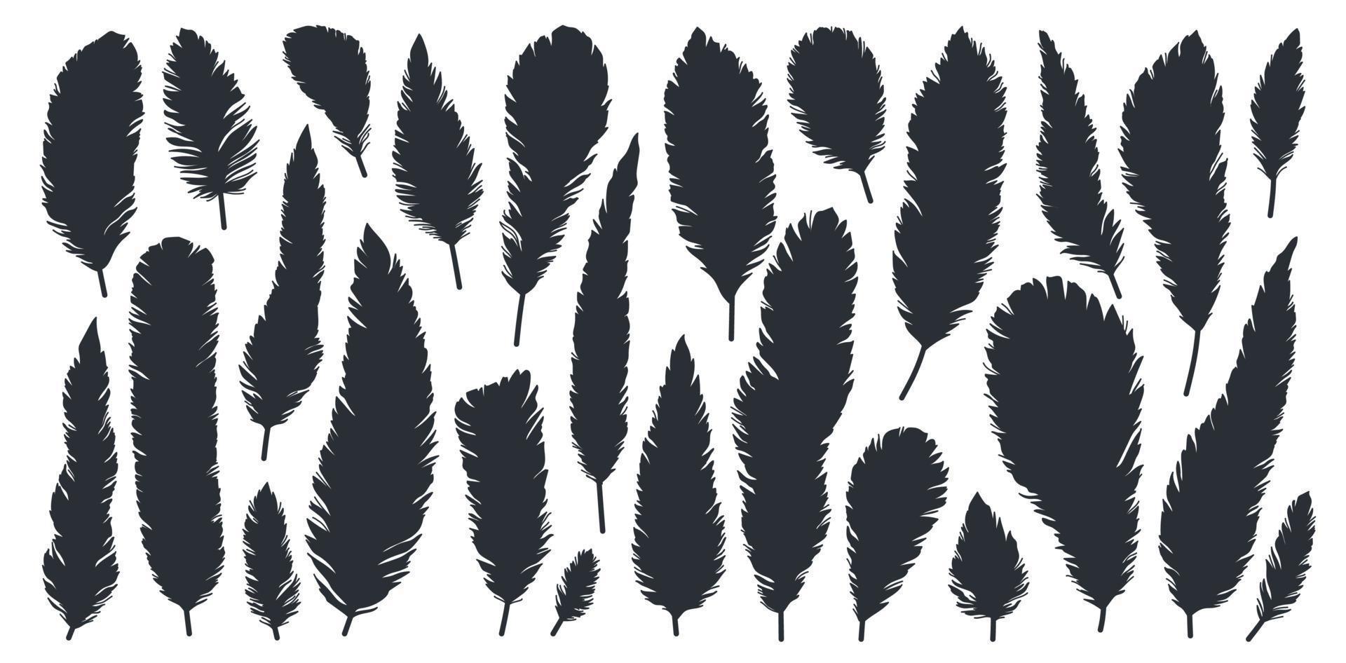 Bird feathers, black silhouettes closeup isolated on white vector