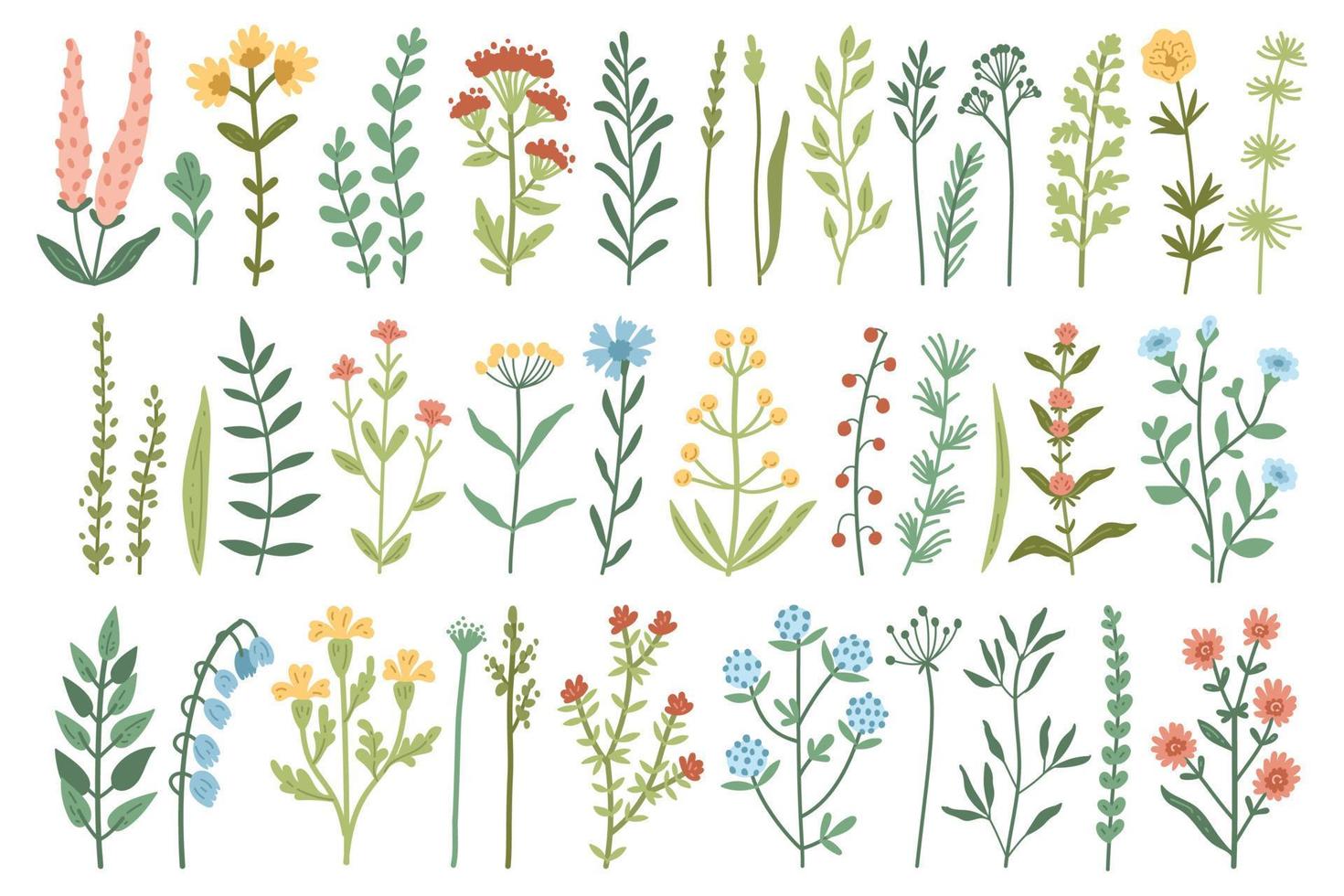 wild flowers element set vector